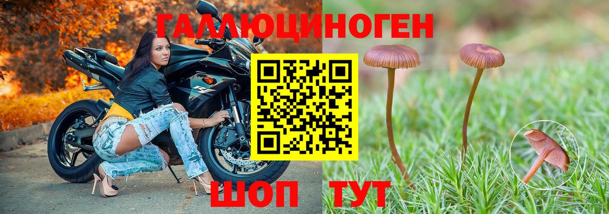 Галлюциногенные грибы мицелий  Галлюциногенные грибы Psilocybine cubensis  Вход с VPN  Ессентуки 